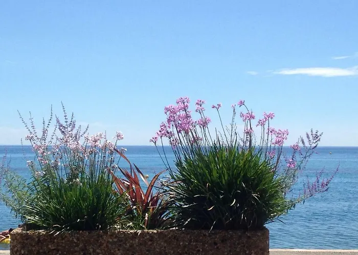 Apartman Les Caroubiers